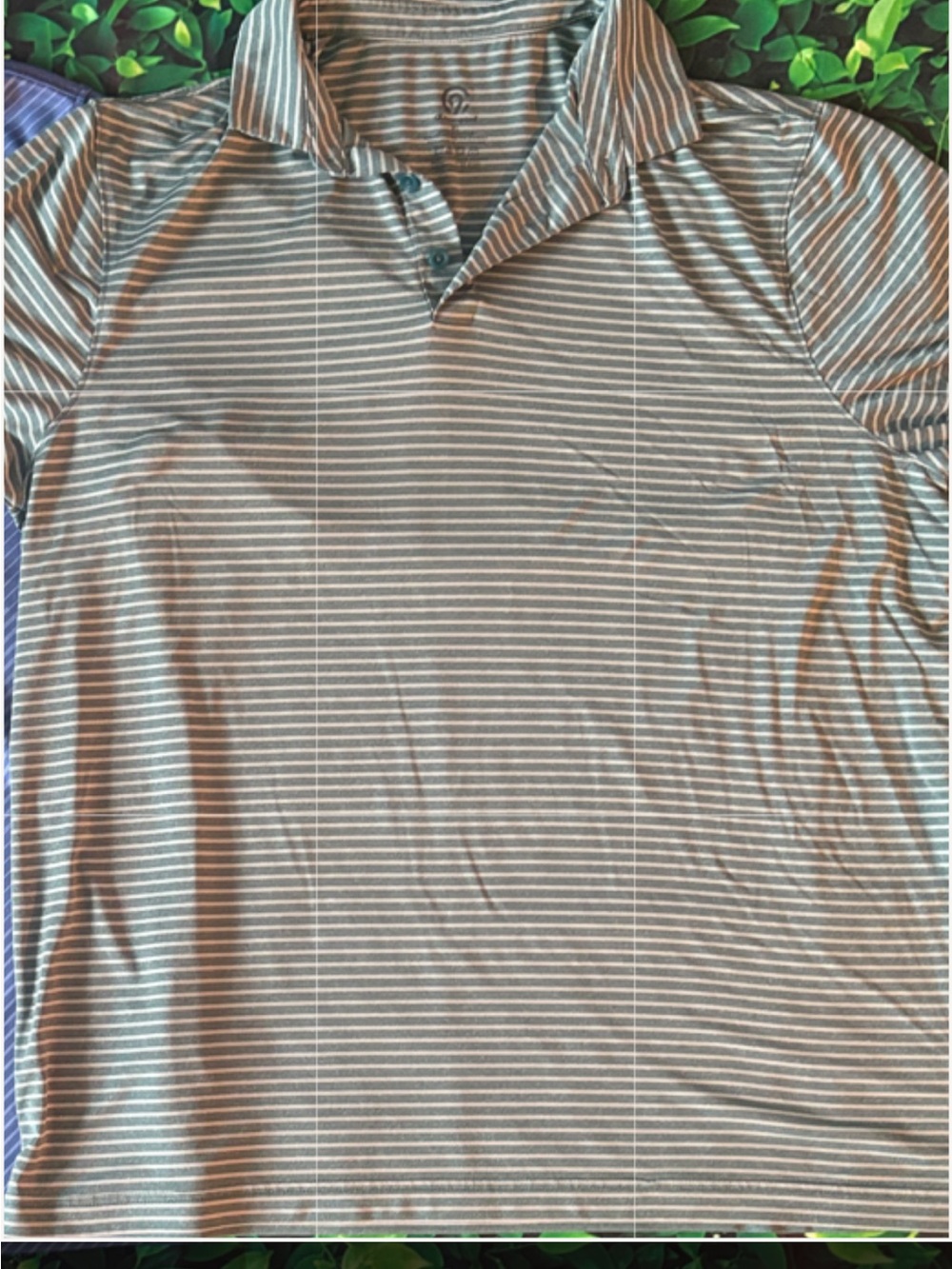 Champion & Tour Collection Men’s Polo Pair - Blue & Gray Striped